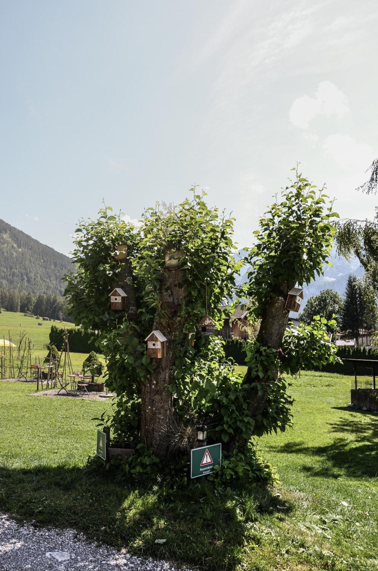 Hotel Ehrwalderhof Exterior foto